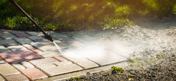 Best Solar Panel Cleaning  in Island Heights, NJ