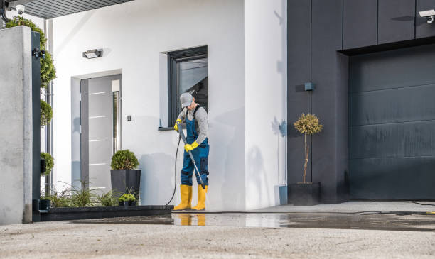 Best Driveway Pressure Washing  in Island Heights, NJ